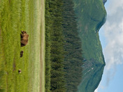 Lake Clark National Park