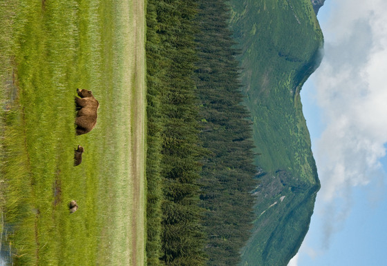 Lake Clark National Park