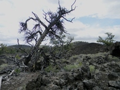 Craters of the Moon National Monument and Preserve
