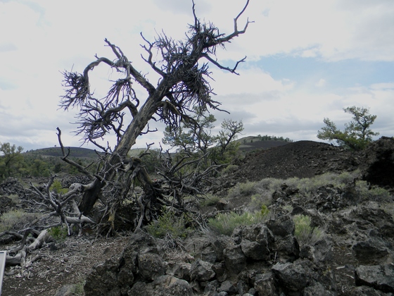 Craters of the Moon National Monument and Preserve