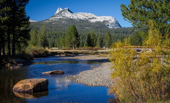 Yosemite National Park