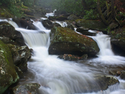 Great Smoky Mountains National Park