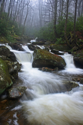 Great Smoky Mountains National Park