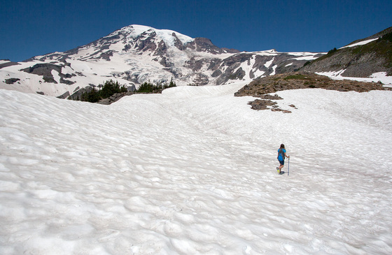Mount Rainier National Park