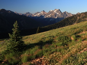 Okanogan National Forest