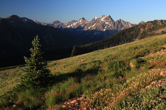 Okanogan National Forest