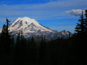Mt Rainier National Park