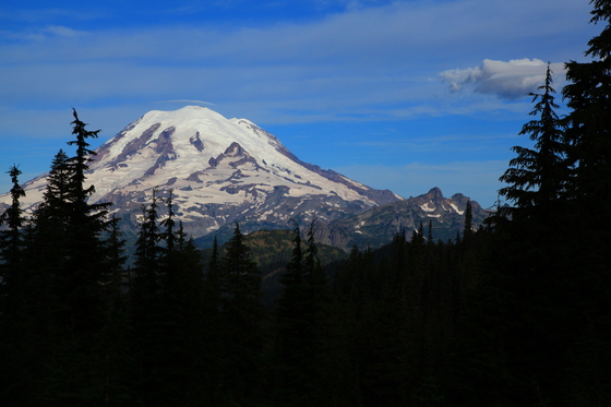 Mt Rainier National Park