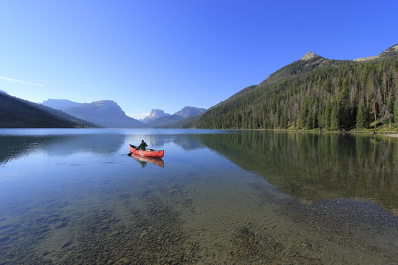 Bridger-Teton National Forest