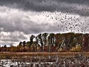 Sherburne National Wildlife Refuge