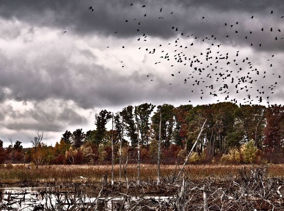 Sherburne National Wildlife Refuge