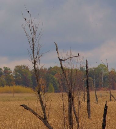 Sherburne National Wildlife Preserve