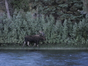 Grand Teton