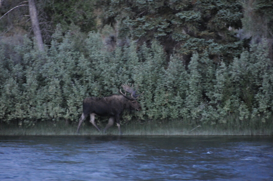 Grand Teton