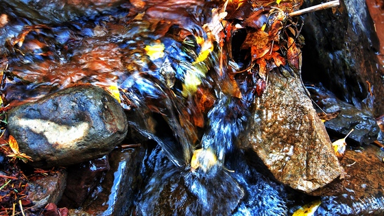 White River National Forest