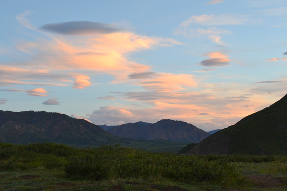 Denali National Park