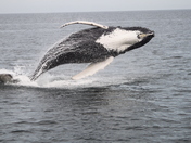 Cape Cod National Seashore