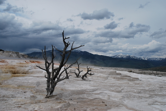 Yellowstone National Park
