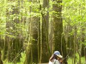 Congaree NP