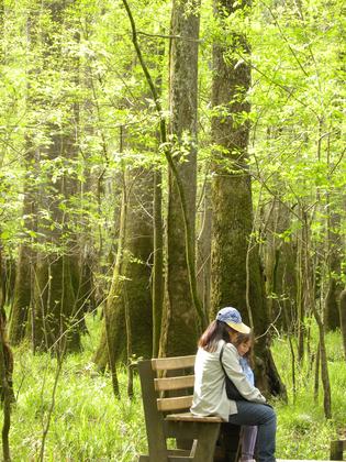 Congaree NP