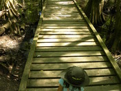 Congaree NP