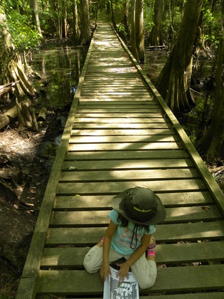 Congaree NP