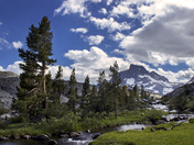 Inyo National Forest