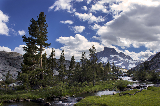 Inyo National Forest