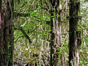 Olympic National Park