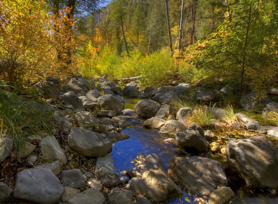 Coconino National Forest