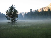 Sierra