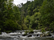 Great Smoky Mountains