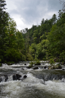 Great Smoky Mountains