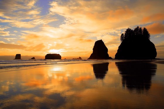 Olympic National Park
