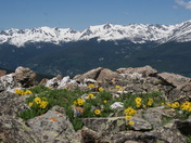 White River National Forest