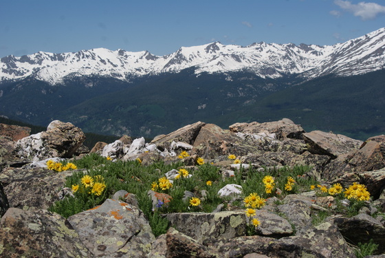 White River National Forest