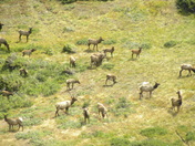 Rocky Mountain National Park