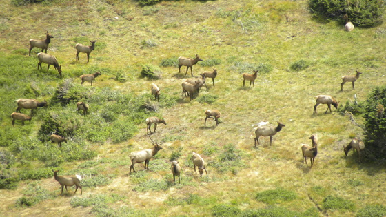 Rocky Mountain National Park