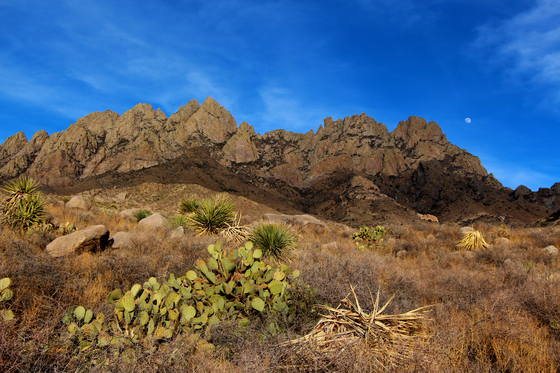 Dripping Springs Natural Area