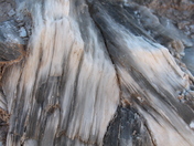 Capital Reef National Park