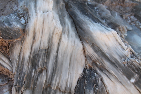 Capital Reef National Park
