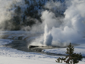 Yellowstone 