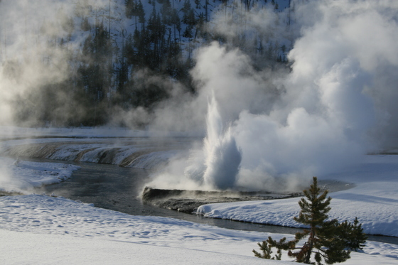 Yellowstone 