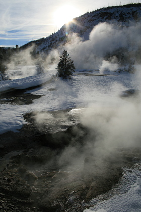 Yellowstone
