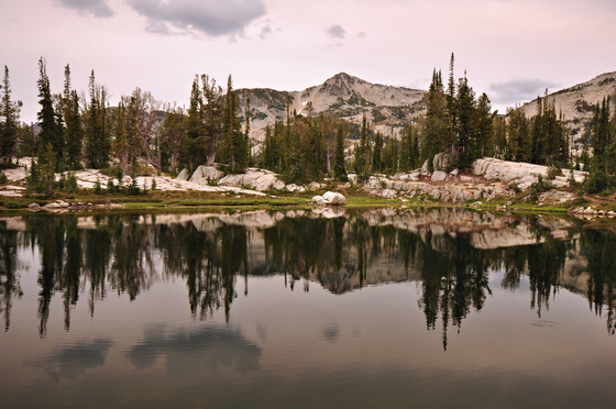 Wallowa-Whitman National Forest