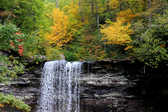 Jefferson National Forest