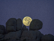 Wichita Mountains Wildlife Refuge