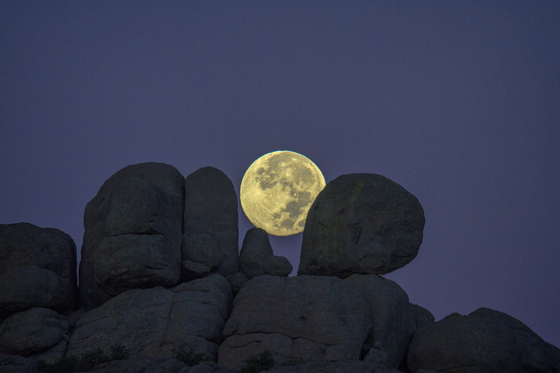 Wichita Mountains Wildlife Refuge