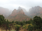 Zion Nat'l Park