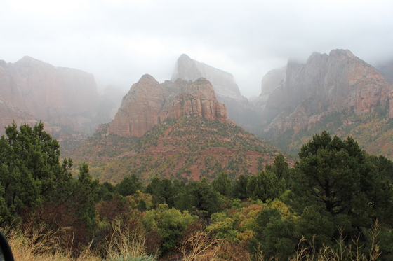 Zion Nat'l Park